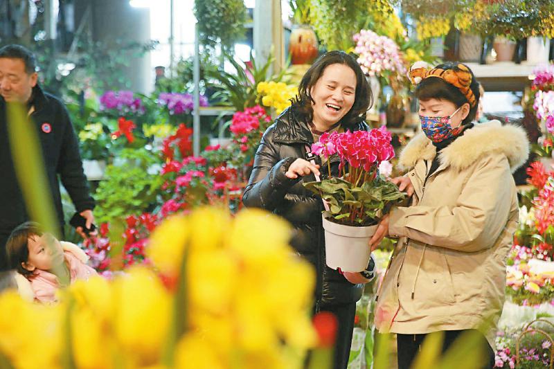 新春到 鲜花俏