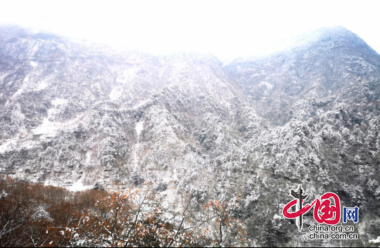 四川米倉山自然保護區雪景美如畫