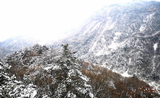 四川米仓山自然保护区雪景美如画