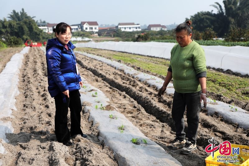 不负春光耕作忙 保障中心城区蔬菜供应