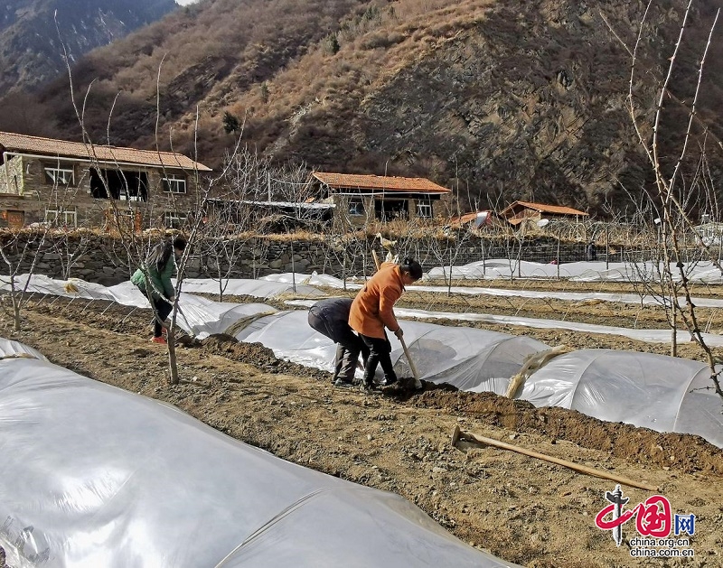 阿壩茂縣：人勤春來(lái)早 田間耕種忙