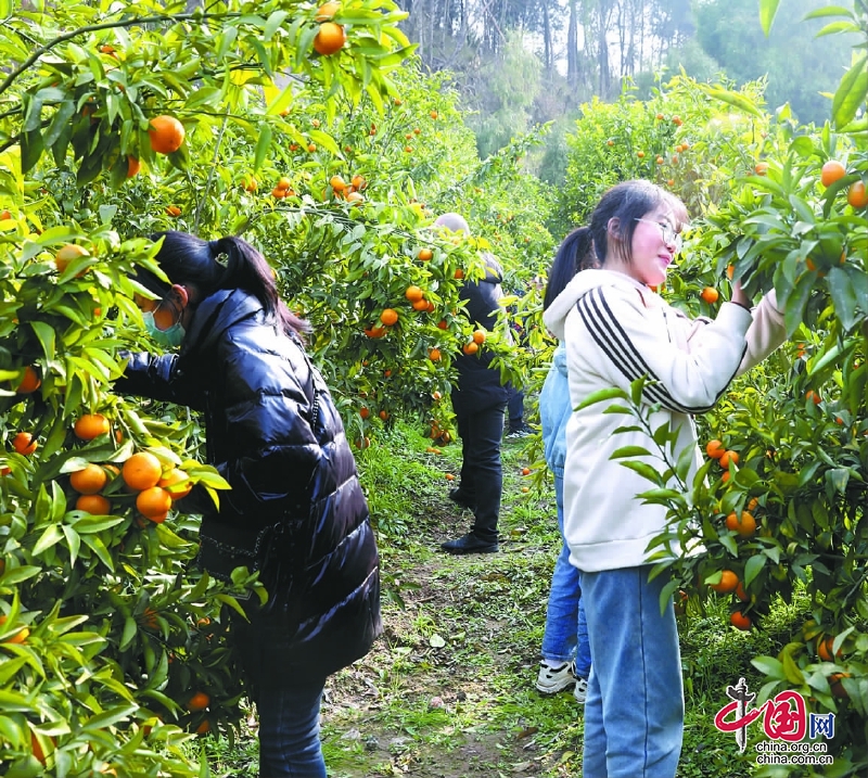 産業興村、鄉賢強村、文化立村——南部縣正覺寺村走出一條別樣的鄉村振興之路