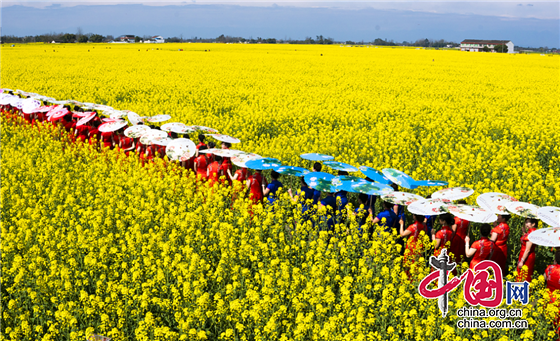 春暖花开 成都邛崃这些地方的油菜花海等你来