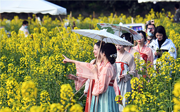 走进山水中 醉在春光里 成都金堂邀您“线上云赏花”