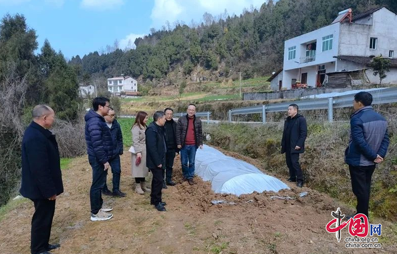 助力鄉村振興 南充市農科院專家到儀隴縣指導春耕生産