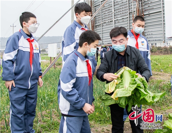 绵阳江油市华丰初中开展劳动实践教育活动