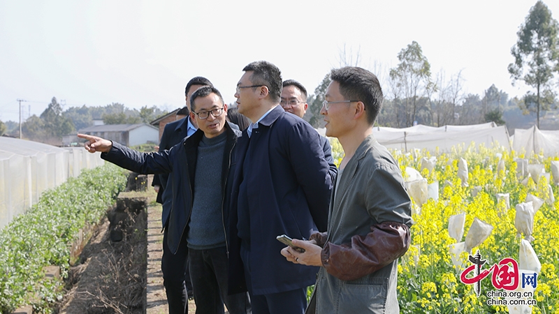 自贡沿滩：扛牢粮食安全及耕地保护政治责任 确保农业稳产增产