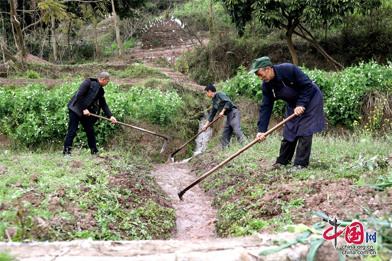 瀘州龍馬潭：驚蟄時節(jié) 引水春灌助豐收