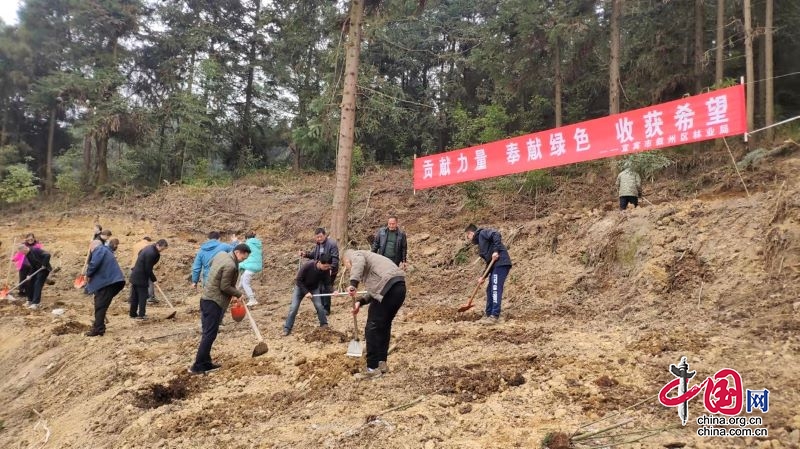 宜賓市敘州區林業局組織開展義務植樹活動