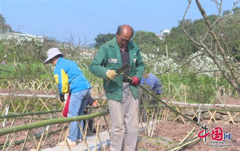 高縣首個農耕體驗園亮相小靖社區