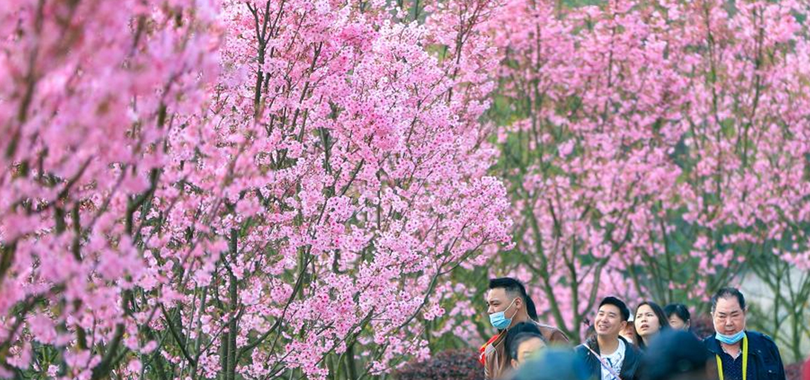 People enjoy springtime across China
