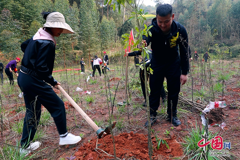 自贡市荣县乐德镇开展植树造林活动 共建绿色家园