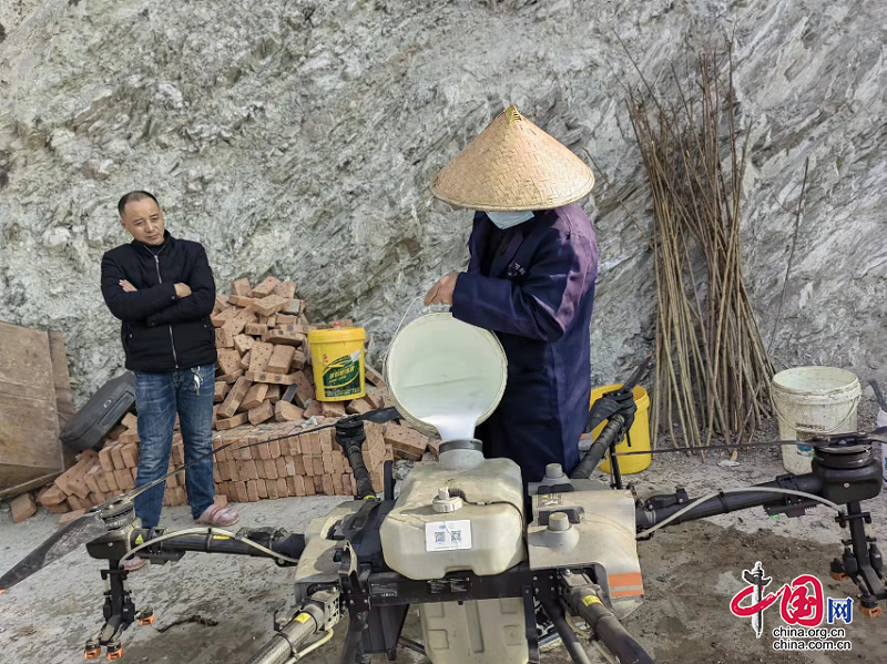 汶川首次试点无人机喷洒农药 助农惠农控污染