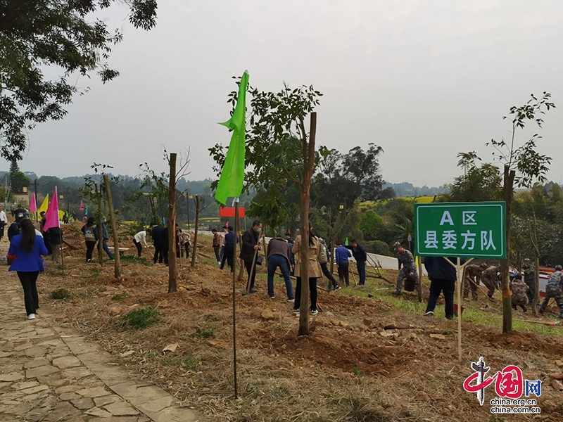 自贡市荣县开展“3·12”义务植树活动