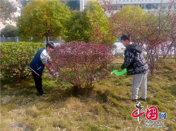 綿陽市梓潼縣觀義中學開展植樹活動