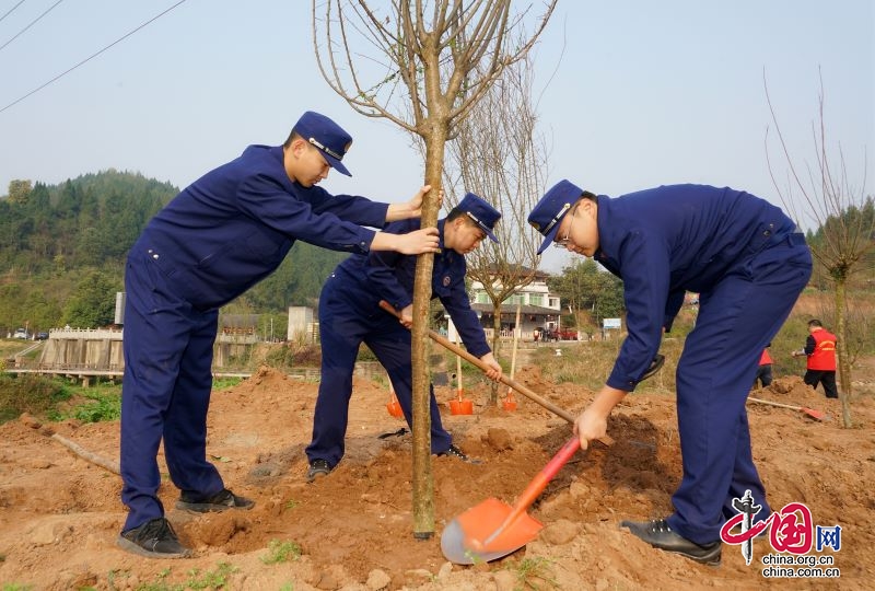 義務植樹為“有機西充”添新綠