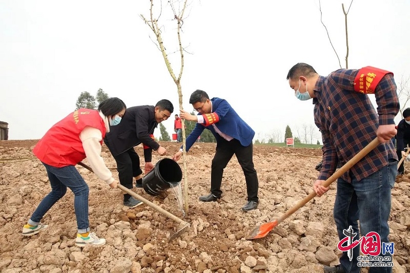 前鋒區：不負春光植樹忙，主題黨日“添新綠”