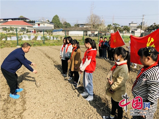 綿陽市安州區河清鎮迎新小學開展植樹節環保主題實踐活動