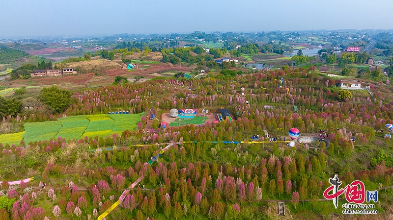 自贡市富顺县着力打造乡村旅游培育远郊农村新业态