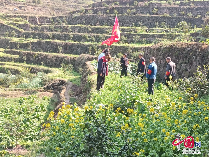 古藺縣永樂街道：開展地毯式踏查行動，讓毒品原植物無處遁形 