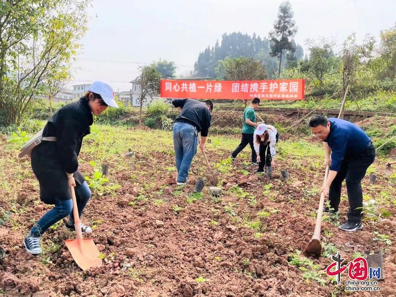 敘州區委統戰部：同心共植一片綠 團結攜手護家園