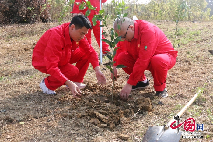 义务植树