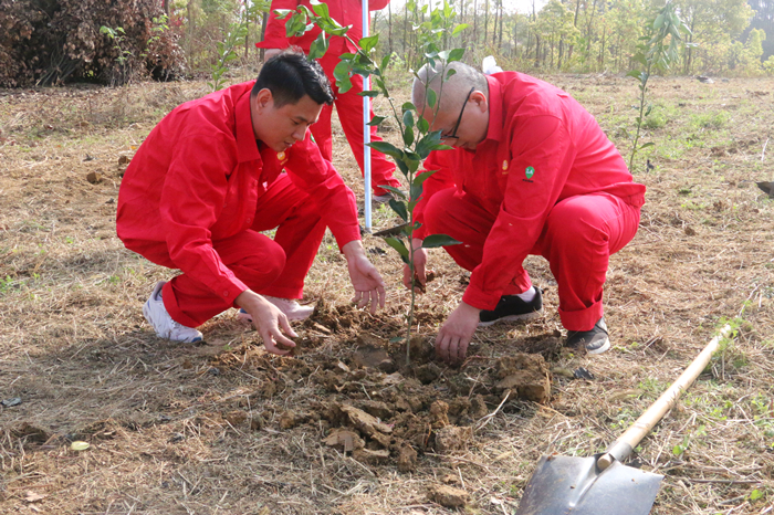 川中油气矿销售公司组织开展义务植树活动