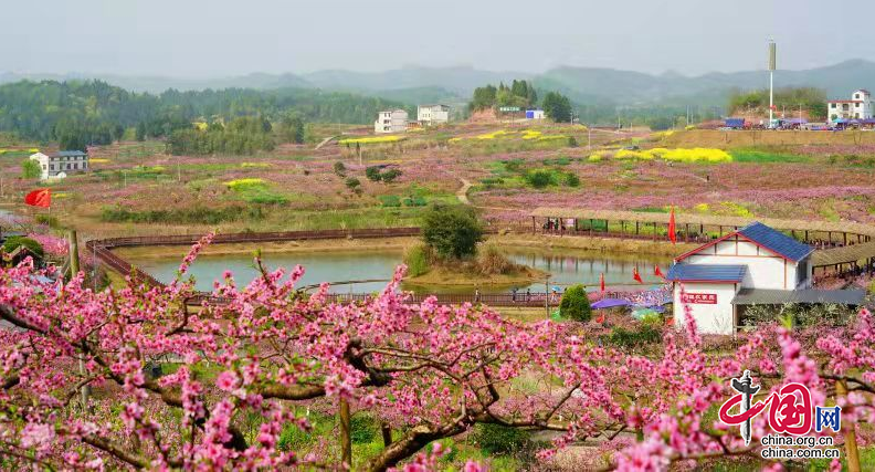 植桃树送香桃2022年西充县第十届云上桃花季拉开序幕