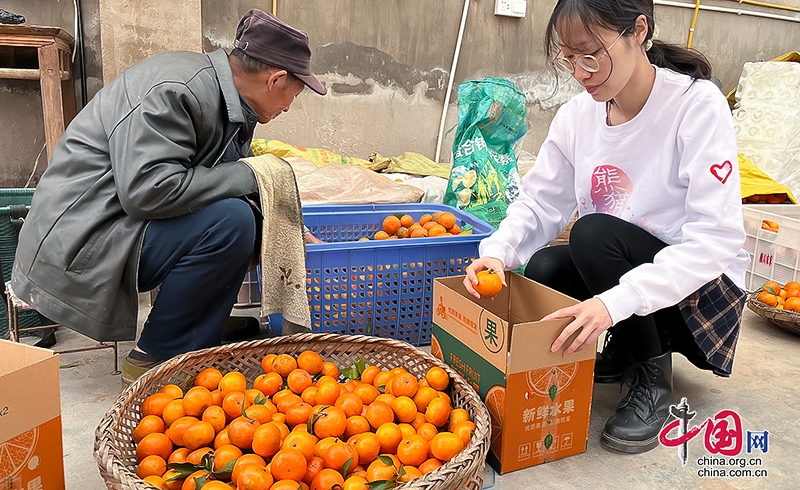 自贡沿滩：三河村“台山四眼青穗”团队助力打造乡村振兴品牌