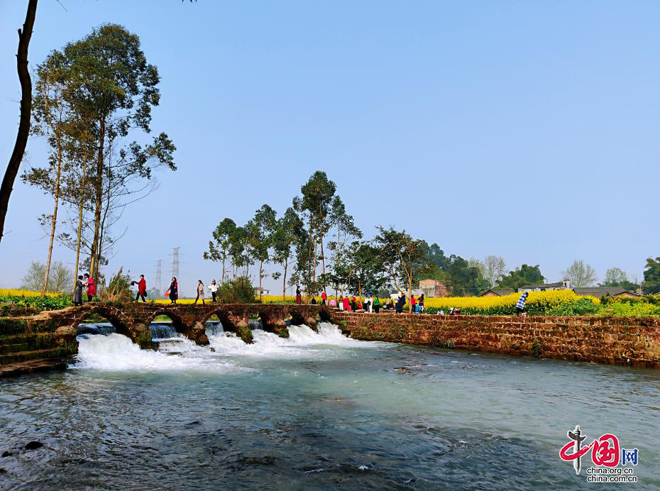 樂山市高新區：黨建引領聚合力，鄉村旅遊好風景