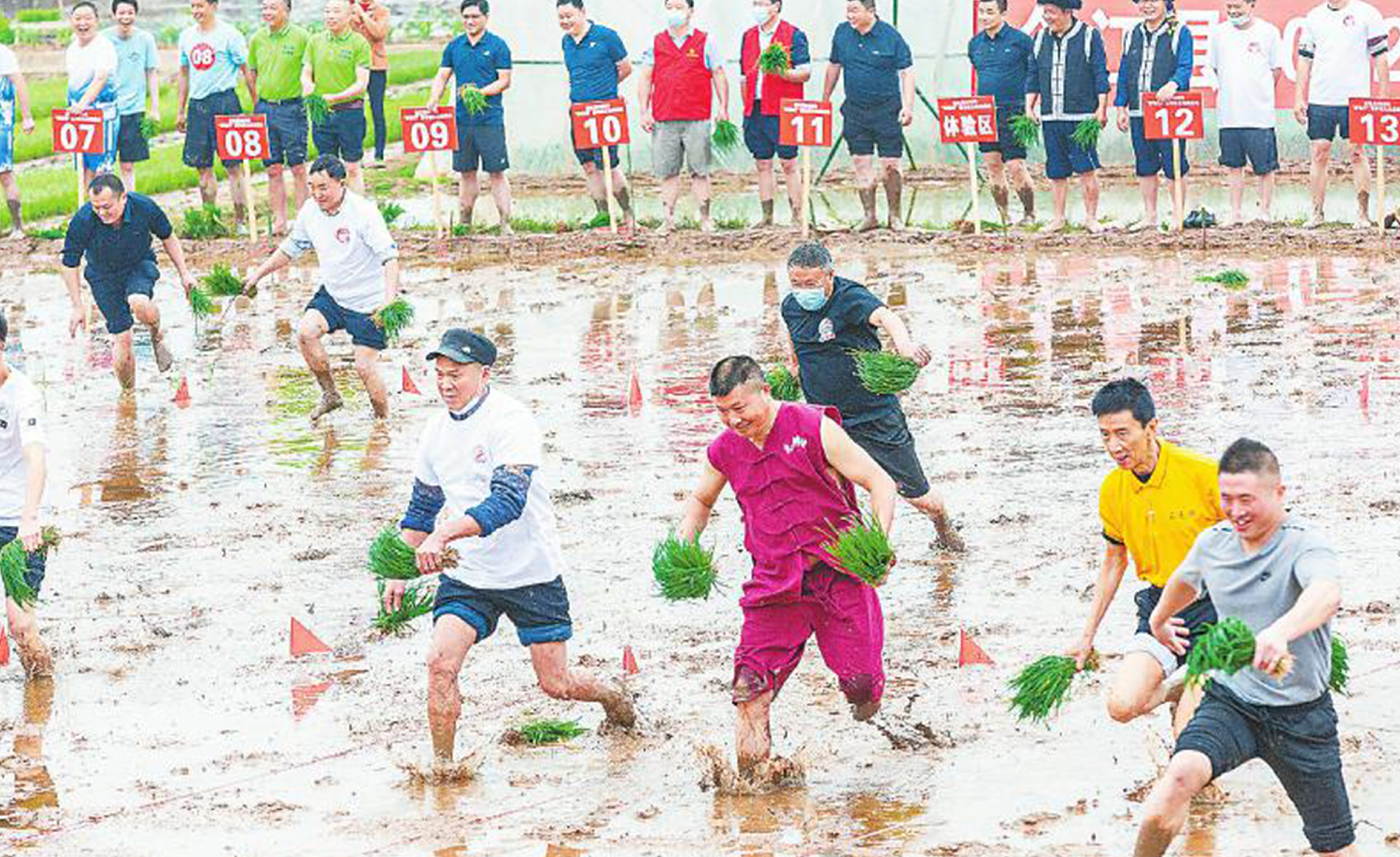 全省最早播种水稻地区 合江“开秧门”