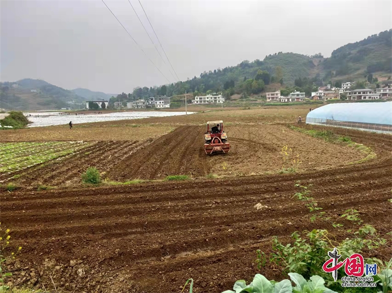 皇華鎮：高粱育苗忙 春耕正當時