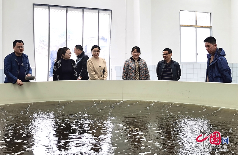 四川省水产局调研自贡市大安区水产品质量安全监管工作
