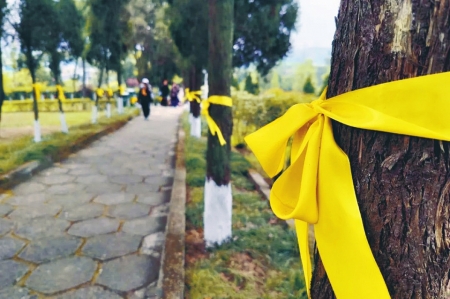 记者探访成都市公墓鲜花替代香烛纸钱绿色祭扫成主流