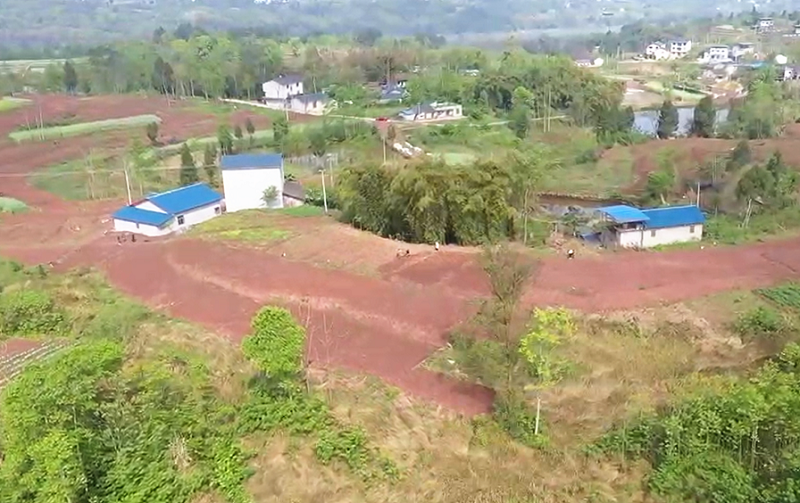 【鄉村振興在行動】武勝縣集中治土地 開墾孕新機