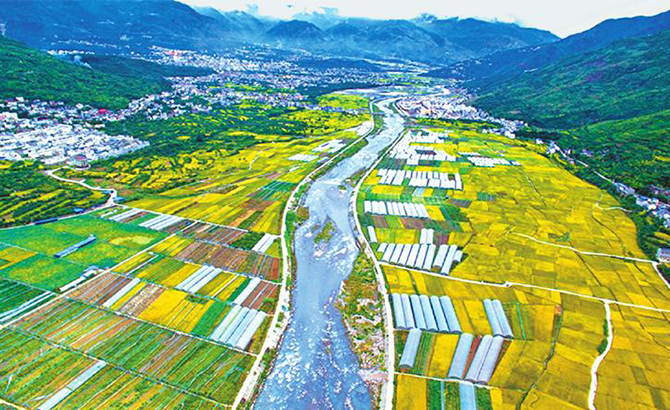 田坎栽树，田里种粮；数字助力，机械增效——探索农业现代化，汉源使出这几招