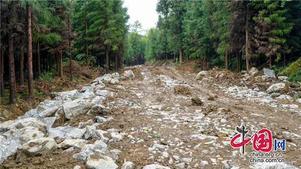 天全縣：“有事來協商”破解農村公路修建難題