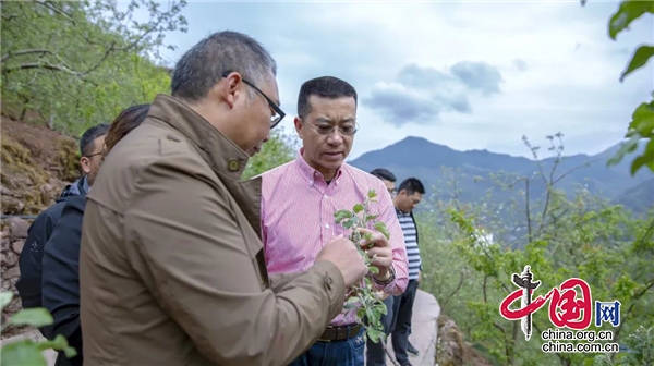 漢源：鄭朝彬前往宜東鎮察看冰雹災情 指導救災減災工作