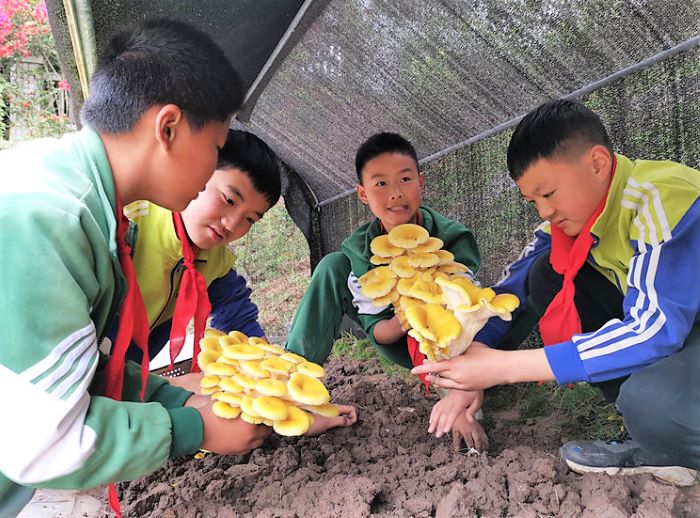 宜賓敘州：以農促學 豐富課後延時服務