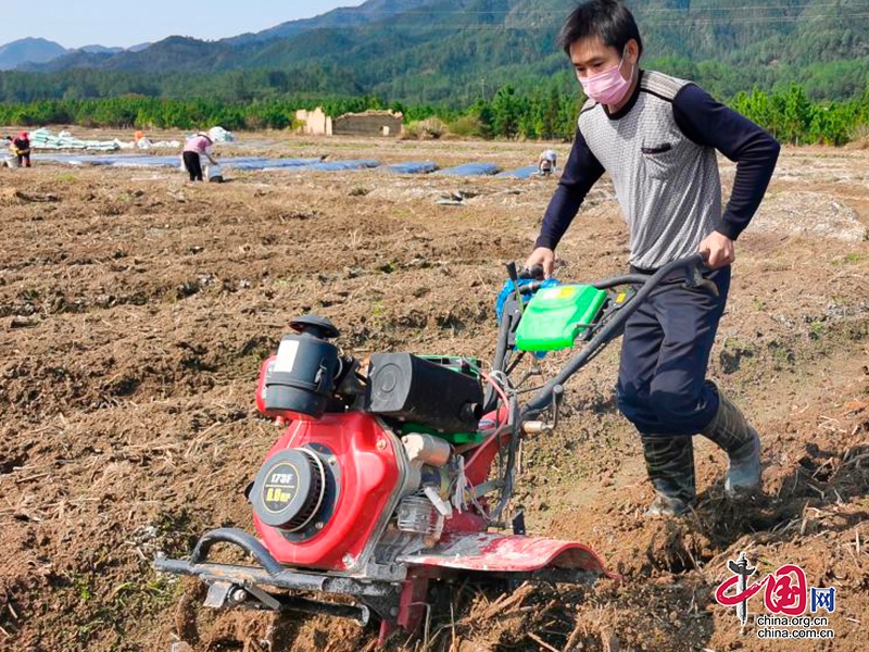 自贡市沿滩区全力搞好春耕生产 推动乡村产业振兴