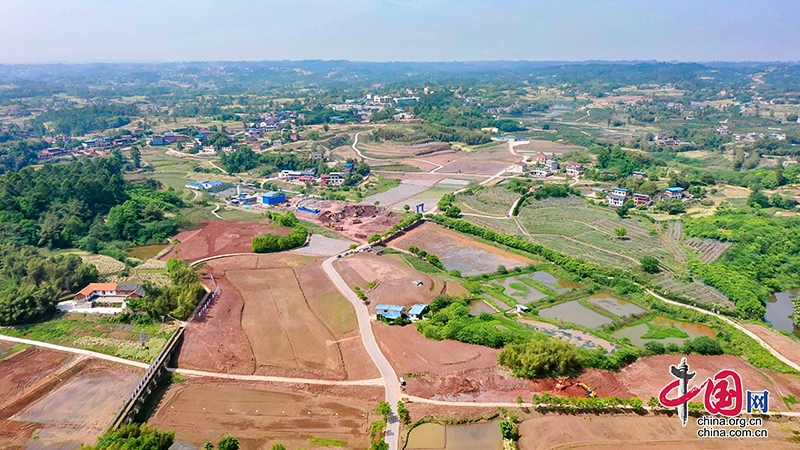 “大豆+” 自贡沿滩现代农业产业园区套作成效初显