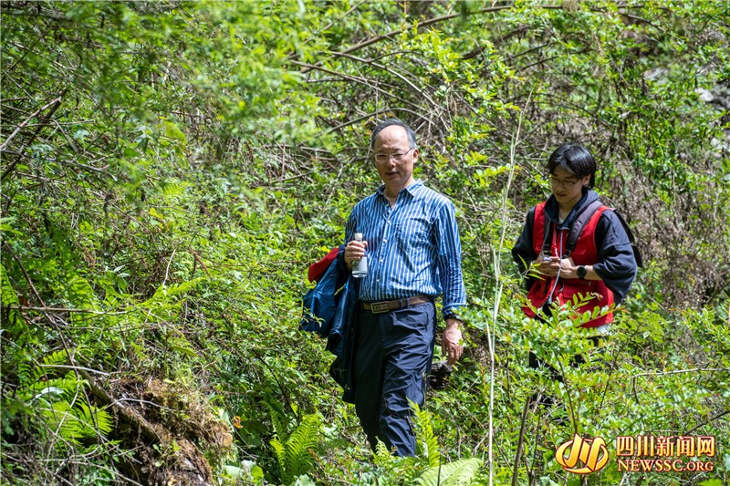 摸清优质水源地“家底”！专家团海螺沟科考探秘寻踪