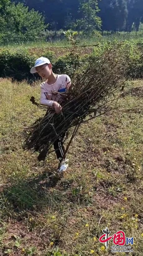 順慶區華鳳學校開展“勞動最光榮·實踐促成長”主題活動