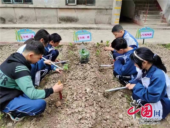 綿陽市武都初中抓好“三個銜接”紮實開展勞動教育