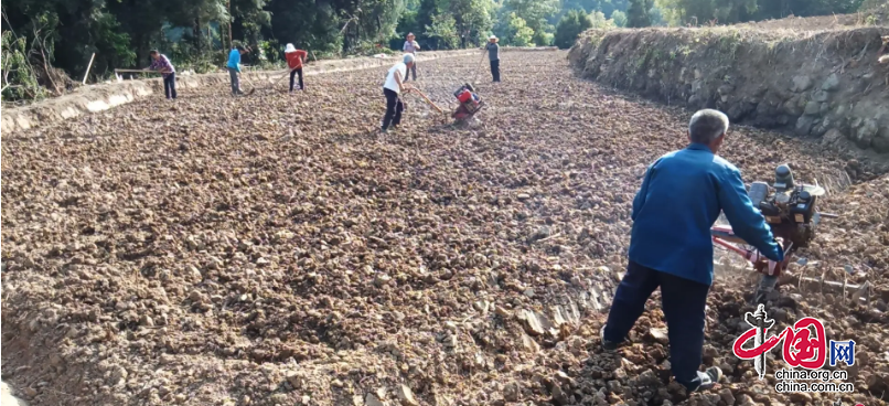 勞務“紅娘”到家門、就業用工不發愁 ——閬中市鶴峰鄉構建全市首個農村勞務合作社