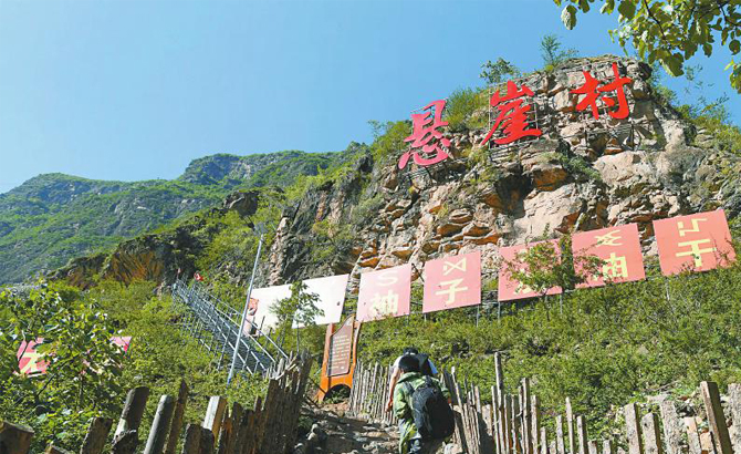 搬迁下山两年，在又是油橄榄花开的季节—— 重返“悬崖村”