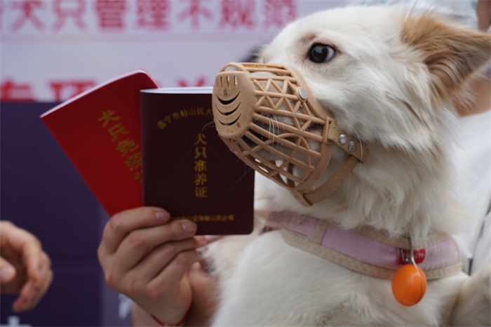 倡导文明养犬 遂宁市开展市城区犬只管理专项整治联合宣传活动