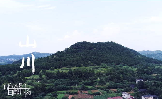 时代光影百部川扬|《魅力金台》