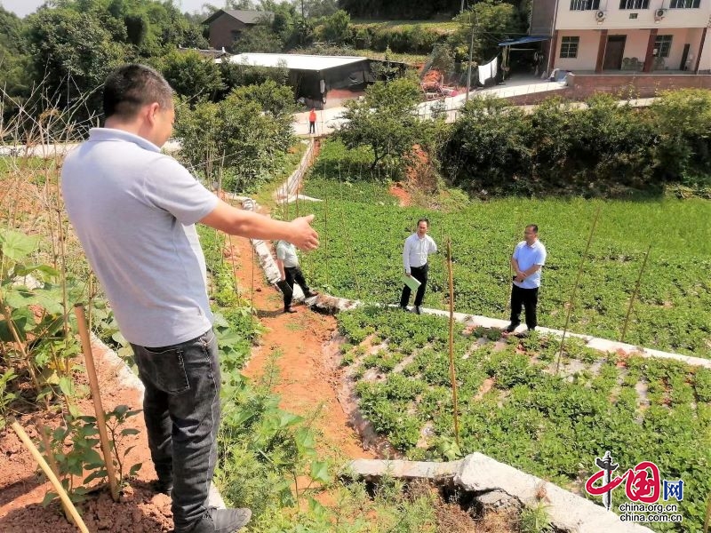 叙州区：三重法 惠民生 强力推进坡耕地水土流失综合治理工程