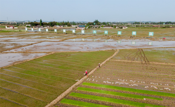 打好供水“提前量”四川多地实现提前“关秧门”